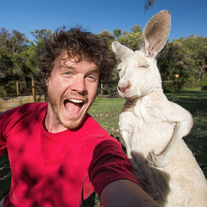 funny-animal-selfies-allan-dixon-11.jpg