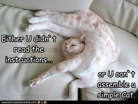 assemblecat.jpg