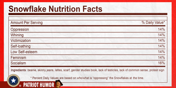 snowflake stats.jpg
