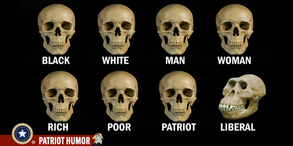 skulls.jpg