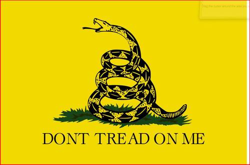 Don't Tread on Me.JPG