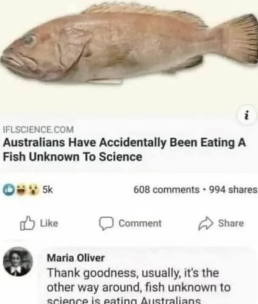 Aussies_for_dinner.jpg