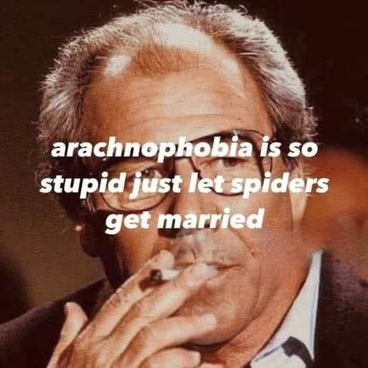 arachnophobia.jpg