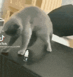 A_lesson.gif