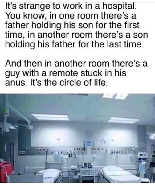 The_circle_of_life.jpg