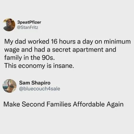 economy-so-bad-cant-even-afford-a-secret-family-anymore-v0-dtovkhp3ax8h1.jpg