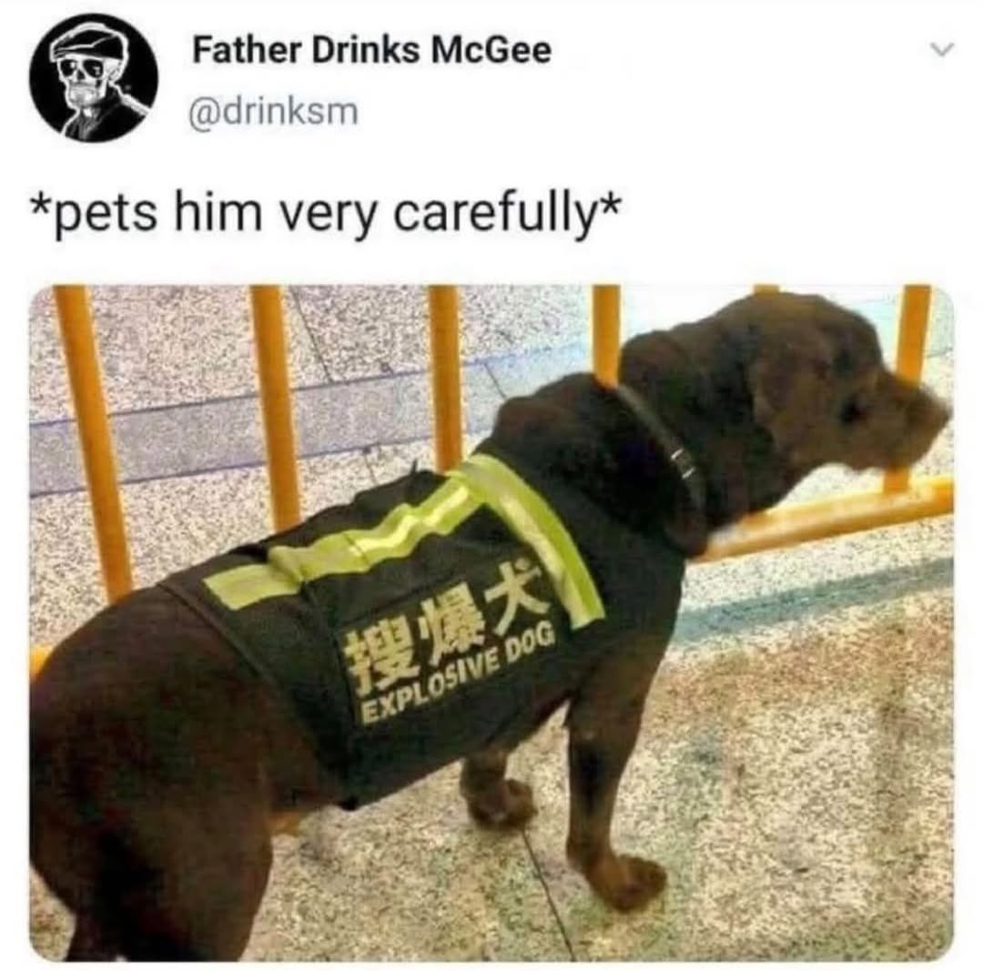 Dog_go_boom.jpg
